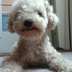 Greg Broderick - @greg_broderick - Instagram