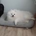 Greg Brookover - Facebook