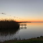 Greg Allen Broussard - @broussardgreg - Instagram