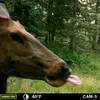 gregbrownlow1034 - @gregbrownlow1034 - TikTok