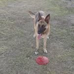 Gregory Brumfield - @gregory.brumfield - Instagram