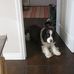 Greg Brunt - Facebook