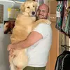 Gregory Brunt - @gregorybrunt - TikTok