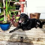 Gregory Brzozowski - @greg.brzozowski.965 - Instagram