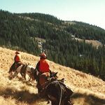 Greg Hebert - @buckmastergreg1 - Instagram