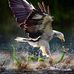 Greg Burbank - Facebook