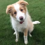 Greg Burrows - @greg.burrows - Instagram
