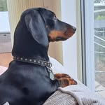 Greg Burrows - @burrows7341 - Instagram