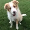 Greg Burrows - @g.burrows - TikTok