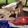 gregburrows932 - @gregburrows932 - TikTok