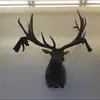 gregbusselle - @gregbusselle - TikTok