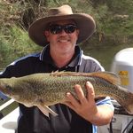 Greg Byrnes - @real_shed_expert - Instagram