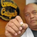 Greg Calígrafo - @greg_caligrafo - Instagram