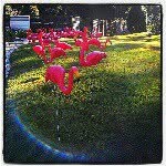 Greg Callow - @greggzana - Instagram