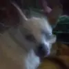 gregorycapps820 - @gregorycapps820 - TikTok