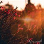 Greg Card - @greg.card - Instagram