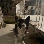 Greg Cardinal - @cardinal.greg - Instagram