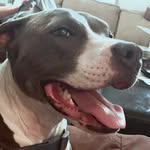 Greg Chaffee - @chaargers - Instagram