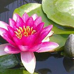 Greg Chang - @gregchang59 - Instagram