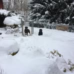 Greg Charles - Facebook