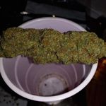 Greg Chartier - @stretchy420247 - Instagram