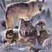 Greg Cheney - Facebook