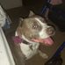 Greg Childress - Facebook