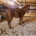 Greg Childress - Facebook