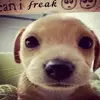 Greg - @gregchulz - TikTok