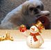 Greg Clouse - Facebook