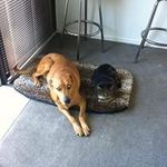 Greg Clouseau - @gregclouseau - Instagram