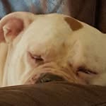 Greg Coley - @coleygreg - Instagram