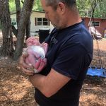Greg Collins - @collinsgregory29 - Instagram