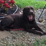 Greg Colvin - Facebook