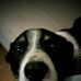Gregor Comrie - Facebook
