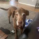 Greg Connell - @greg.connell.52 - Instagram