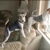 Greg Connelly747 - @gregconnelly747 - TikTok