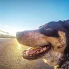 Gregg Connell - @gregg7770000 - TikTok