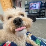 Greg Conte - @suburbancement - Instagram