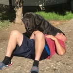 Greg Cook - @gregcookfam - Instagram