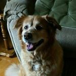Greg Cooley - @cool1gre - Instagram
