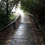 Greg Cooney - @gj.69cooney - Instagram