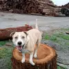 gregcooper803 - @gregcooper803 - TikTok