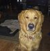 Greg Copenhaver - Facebook