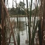 Greg Cornman - @orbital217 - Instagram