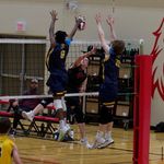 Greg Cortes - @dboygvolleyball - Instagram