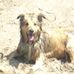 Greg Cosgrove - Facebook