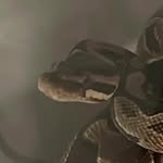 cousin greg the snake - @cousingregthesnake - Instagram