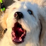 Greg - @its_cousin_greg - Instagram