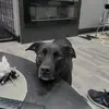 Greg Covelli - @greg.covelli - TikTok